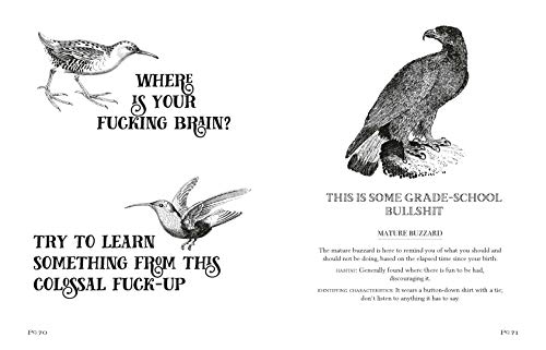 Effin' Birds: Identification Field Guide for Wild Birds