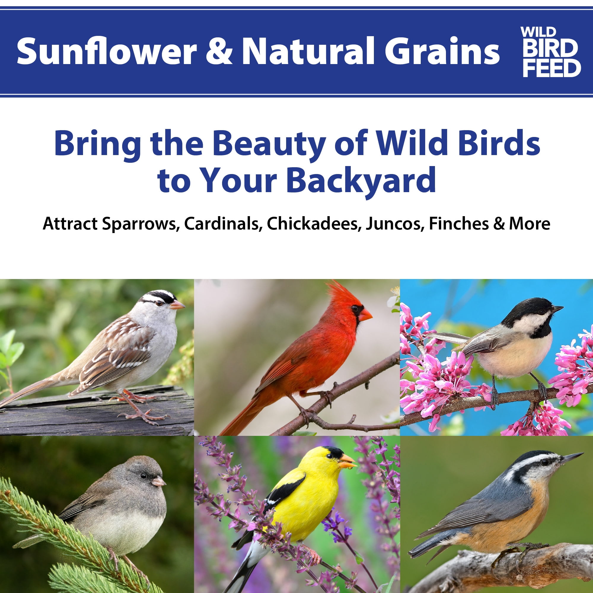 Sunflower & Grains Wild Bird Feed, 5 lb