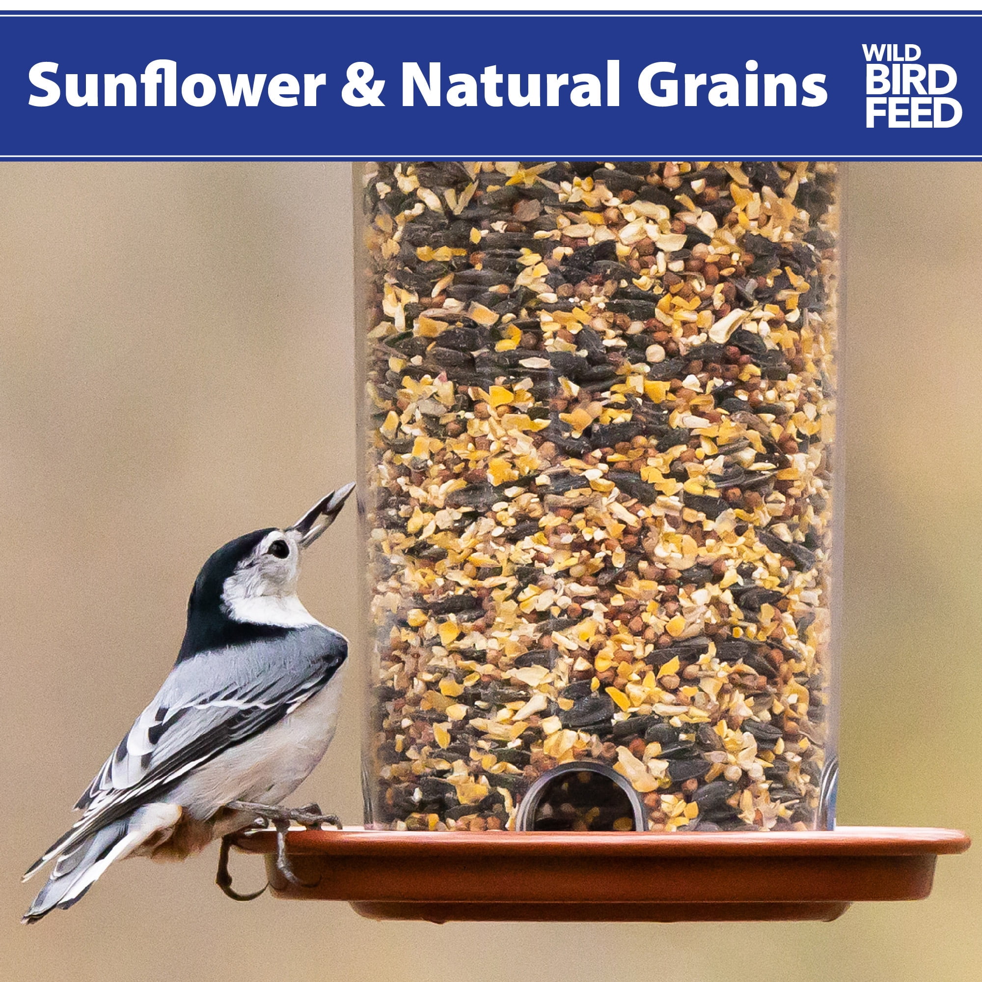 Sunflower & Grains Wild Bird Feed, 5 lb