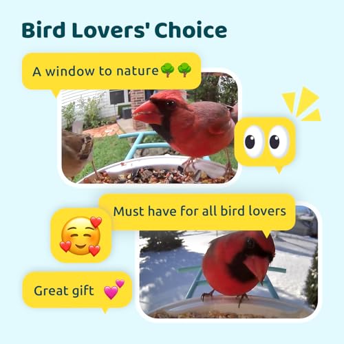 Wireless Bird Watching Camera with Auto-Capture - Ideal Gift