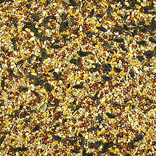 Kaytee Bird Food: Basic Seed Blend, 5 lb