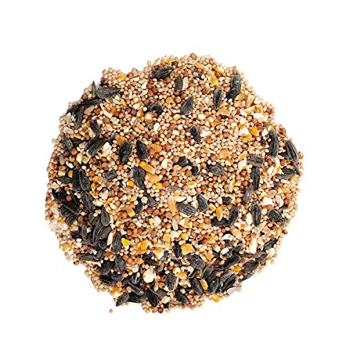 Wagner's Deluxe Wild Bird Food - 10 lb
