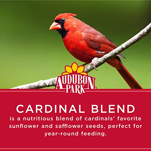 Cardinal Blend Wild Bird Food, 4-Pound Bag