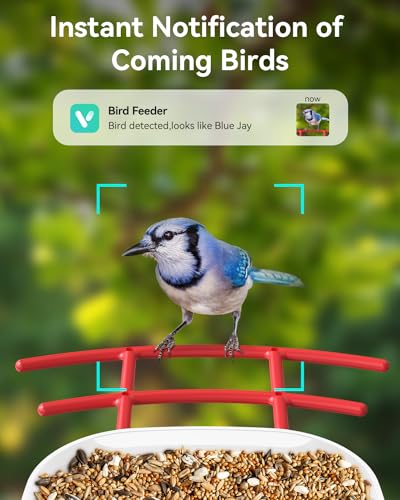 Smart Bird Feeder Camera with AI, Live View