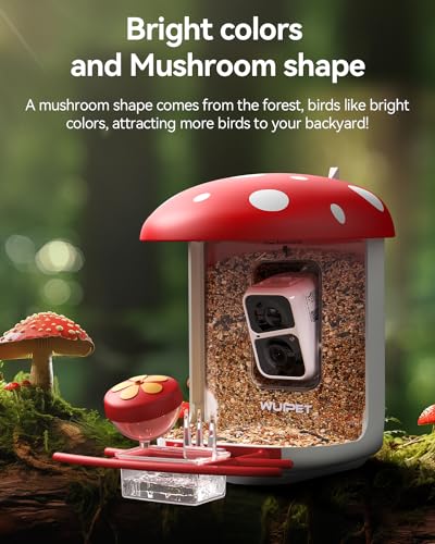 Smart Bird Feeder Camera with AI, Live View