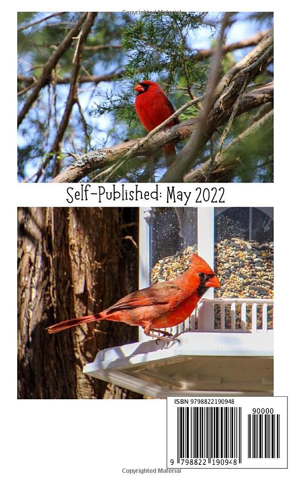 Brighten your backyard with the Northern Cardinal songbird