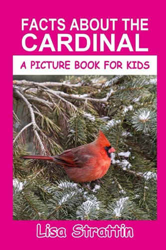Cardinal Fun: Kids' Picture Book for Backyards & Birds