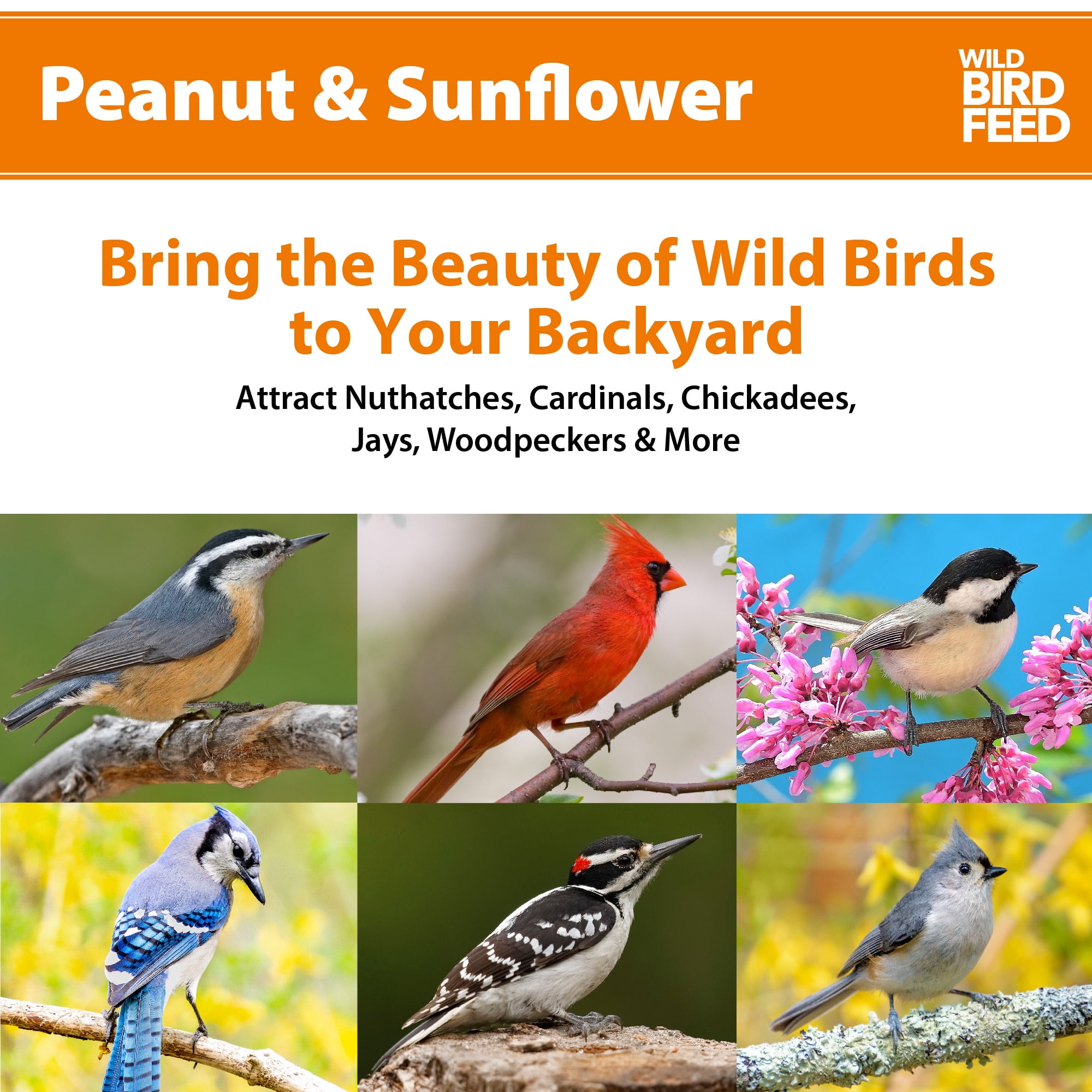 Peanut & Sunflower Wild Bird Feed, 20 lb. Bag