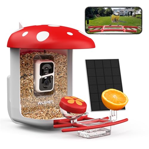 Smart Bird Feeder Camera with AI, Live View
