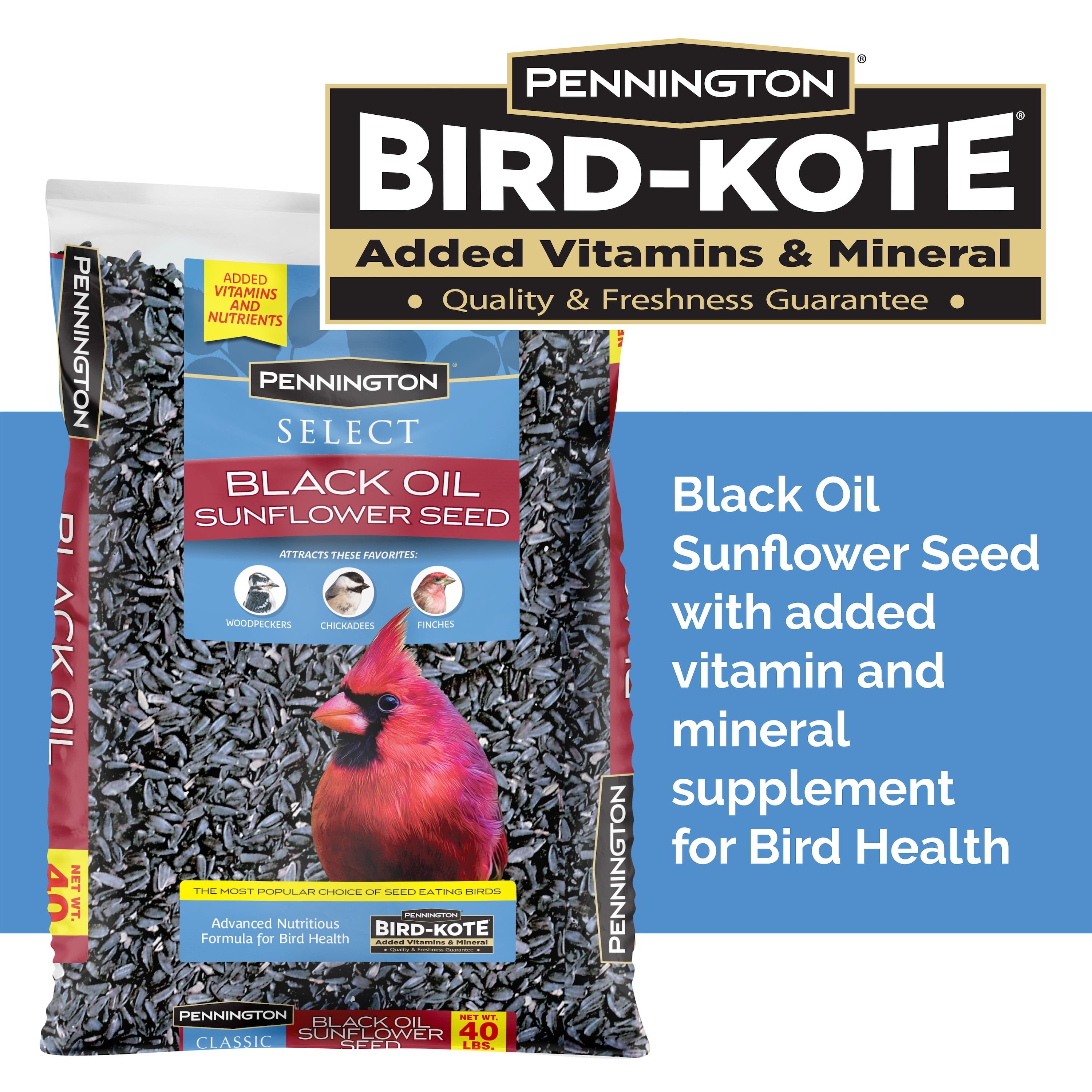 Pennington Black Oil Sunflower Seed Wild Bird Feed, 40 lbs