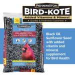 Pennington Black Oil Sunflower Seed Wild Bird Feed, 40 lbs