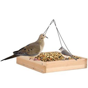 Cedar Tray Bird Feeder by Wild Wings