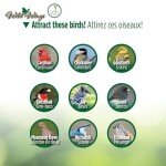 Cedar Tray Bird Feeder by Wild Wings