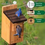 Cedar Blue Bird Box House by Wild Wings