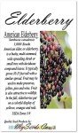 1,000 Non-GMO American Elderberry Seeds Pack