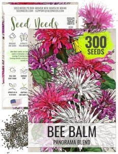 Vibrant Bee Balm Seeds for Butterfly Gardens