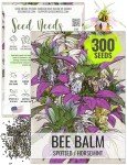 Spotted Bee Balm Seeds - 300 Heirloom Seeds