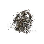 Spotted Bee Balm Seeds - 300 Heirloom Seeds