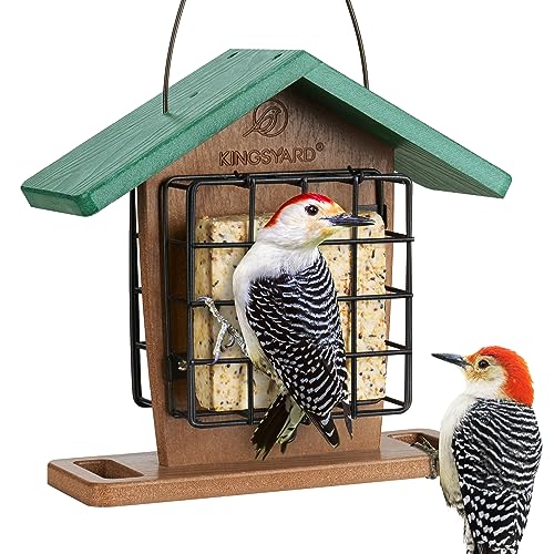 Double Suet Bird Feeder: Roofed, Perched & Hanging