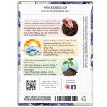 Sapphire Blue Sage Seeds for Butterfly Gardens