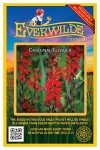 2000 Cardinal Flower Seeds - Native Wildflower Mix