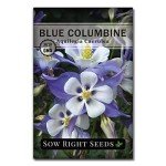 Blue Columbine Flower Seeds - Attract Hummingbirds & Bees