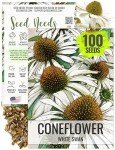 White Swan Coneflower Seeds - Attract Pollinators