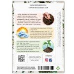 White Swan Coneflower Seeds - Attract Pollinators