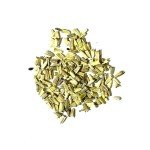 White Swan Coneflower Seeds - Attract Pollinators