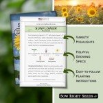 Mammoth Sunflower Seeds - Grow Giant Blooms