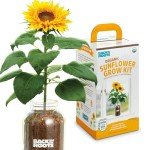 Sunflower Organic Windowsill Planter Kit - Year Round