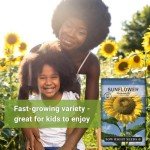 Mammoth Sunflower Seeds - Grow Giant Blooms