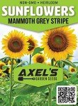 Mammoth Sunflower Seeds – Grow Giant Flowers