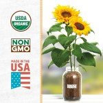 Sunflower Organic Windowsill Planter Kit - Year Round