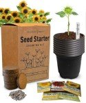 Sunflower Growing Kit: 5 Giant Colorful Seeds