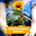 Sunflower Organic Windowsill Planter Kit - Year Round