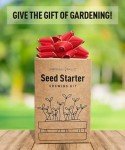 Sunflower Growing Kit: 5 Giant Colorful Seeds