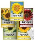 Sunflower Growing Kit: 5 Giant Colorful Seeds