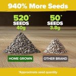 Giant Mammoth Sunflower Seeds for Your Garden