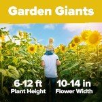 Giant Mammoth Sunflower Seeds for Your Garden