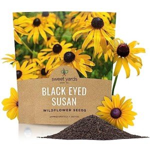 Extra Large Black Eyed Susan Seeds Packet