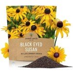 Extra Large Black Eyed Susan Seeds Packet