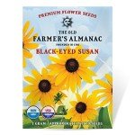 Black Eyed Susan Seeds - Non-GMO, USA Grown