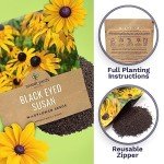 Extra Large Black Eyed Susan Seeds Packet