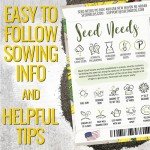 Black Eyed Susan Seeds - 120,000+ Perennial Blooms