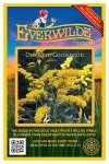 Old Field Goldenrod Wildflower Seeds - 2000 Pack