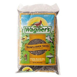 Wagner's Black Oil Sunflower Seed for Wild Birds