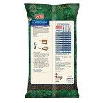 Kaytee Black Oil Sunflower Seed for Wild Birds