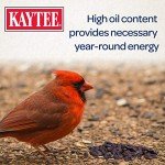 Kaytee Black Oil Sunflower Seed for Wild Birds