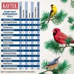 Kaytee Black Oil Sunflower Seed for Wild Birds